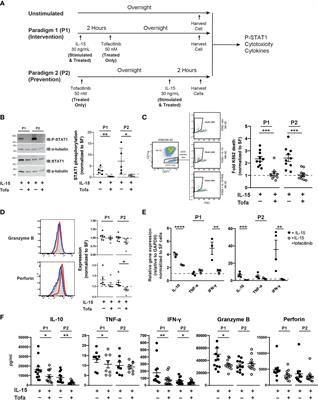 Tofacitinib Suppresses Natural Killer Cells In Vitro and In Vivo: Implications for Amyotrophic Lateral Sclerosis